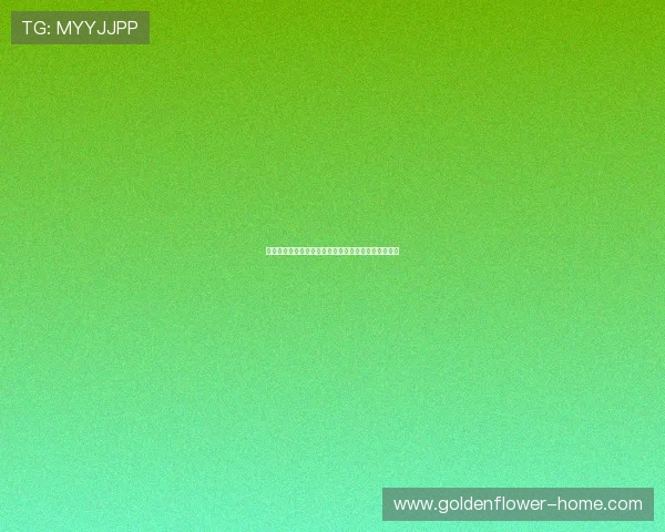 帕楚里亚领衔探索篮球新打法与战术创新的多重可能性